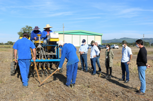 Cooperja é parceira do Programa de incentivo ao plantio de culturas de inverno