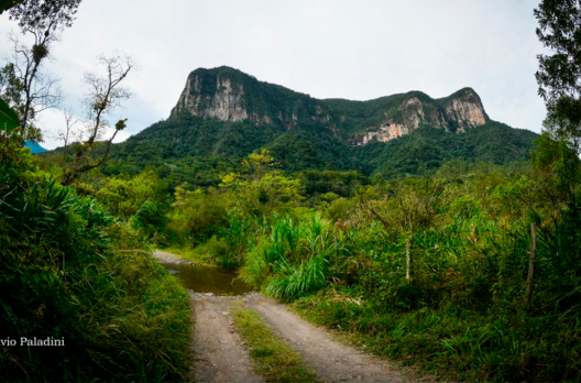 Caminhos 