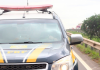 Carregado com carros, caminhão-cegonha tomba na BR-101
