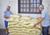Jacinto Machado entrega sementes de adubação verde para agricultores