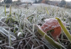 O inverno chegou!