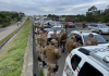 Polícia Militar prende traficante e apreende drogas na BR-101