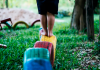 Covid-19: confira mudanças nas regras para parques, espaço kids e similares em SC