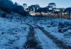 SC amanhece pelo 7º dia seguido com temperaturas negativas