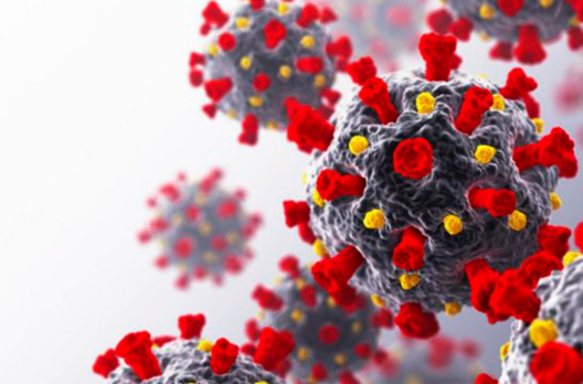 Coronavírus em SC: Estado confirma 1.124.632 casos, 1.095.420 recuperados e 18.204 mortes