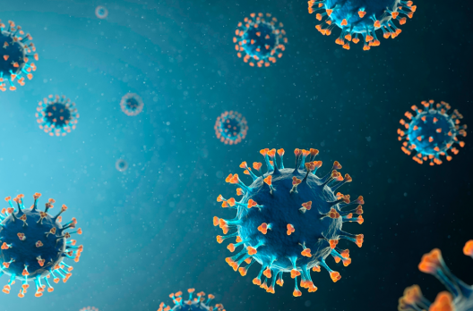 Coronavírus em SC: Estado confirma 1.145.063 casos, 1.114.702 recuperados e 18.530 mortes