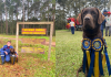 Bono é o novo cão ativo para buscas do CBMSC