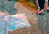 PRF flagra mil comprimidos de ecstasy em automóvel na BR-101