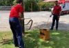 Capturas de cobras aumentam 25% em um ano, revelam bombeiros