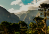A natureza em suas variadas formas 