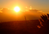 Temperatura deve atingir 36°C nos dois primeiros dias da semana