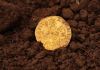 Arqueólogo encontra moeda avaliada em mais de R$ 1,5 milhão: será que você tem uma em casa?