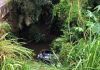 Homem morre em acidente no Ermo