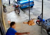 VÍDEO BIZARRO: Comerciante se livra de assalto jogando frango abatido no bandido
