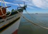 Estado inicia programa com investimentos de R$ 13,9 milhões no Litoral Sul e na Grande Florianópolis