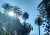 Madrugada desta segunda-feira foi uma das mais abafadas do Verão