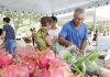 Quinta é dia de Feira da Agricultura Familiar em Criciúma