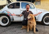 Despedida de Jesse Koz terá revoada de pombos, cães terapêuticos e transmissão ao vivo em SC