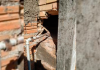 Igreja é arrombada e furtada no bairro Jardim Cibele