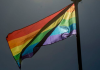 SC é o 4º Estado com mais registros de violência contra população LGBTQIA+