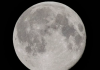 Astronomia: julho terá chuva de meteoros e Lua dos Cervos