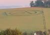 Agroglifos aparecem em plantação de trigo em SC