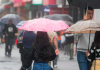 Defesa Civil alerta para temporais em SC neste fim de semana; confira onde