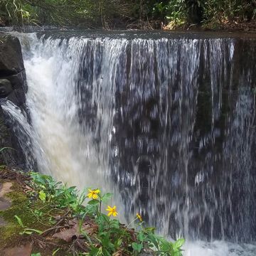 Qualidade de água do Rio Araranguá é monitorada pelo Estado