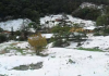 Neve em novembro? Especialistas explicam o motivo para o possível fenômeno em SC