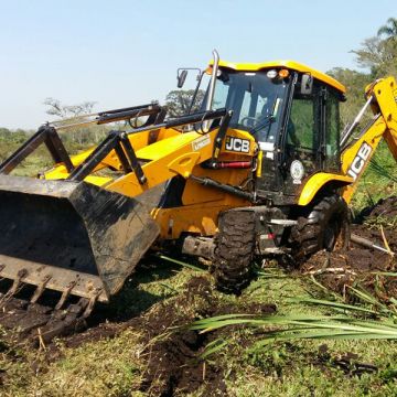 Agricultura divulga números de 2018
