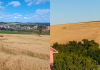 Marca de agroglifo em SC segue mesmo após colheita 