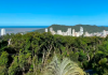 Em Santa Catarina, sol e calor de até 29 °C marcam a estreia do Brasil na Copa