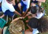 Unesc realiza 14ª Semana de Meio Ambiente e Valores Humanos