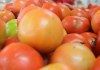 Homem bêbado come tomates e causa confusão em mercado de SC
