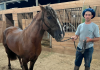 Caverá Country Park receberá o maior evento de cavalos crioulos de Santa Catarina