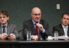 Comissão de Agricultura debate prevenção à chegada da influenza aviária em SC