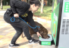 SAMAE: Calçadão terá totem com água quente e fria para a população e bebedouro para pets