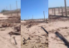 Ondas gigantes se chocam contra plataforma de pesca e causam danos em SC