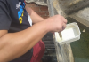 Prefeitura de Balneário Arroio do Silva intensifica ação voltada ao combate à dengue
