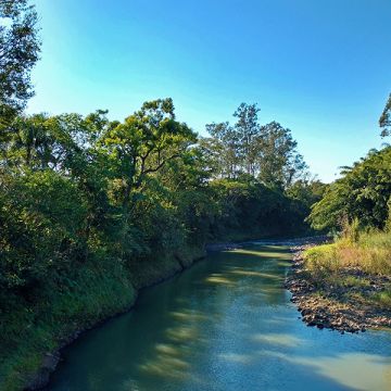 Foco na educação ambiental