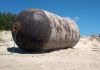 Boia gigante intriga turistas e moradores de Gaivota
