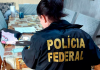 PF prende homem que produziu e divulgava material pornográfico infanto-juvenil na internet