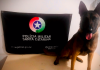 Cão Argo encontra maconha em Araranguá