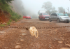 Dnit programa novo bloqueio na Serra da Rocinha para detonação de rochas