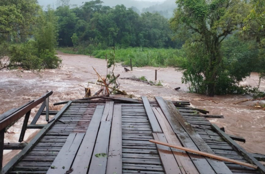Precisamos nos blindar de tanta destruição 