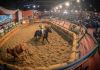 Araranguá sediou classificatória para o “Freio de Ouro”