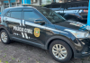Polícia Civil de Turvo prende homem com drogas e animais silvestres sem registro