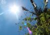 Primeiro fim de semana de fevereiro será com sol e temperaturas elevadas no Sul de SC