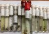 Araranguá elabora Planos de Contingência de Prevenção e Combate à Dengue