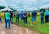 Dia de Campo destaca Sustentabilidade e Produtividade nas Cultivares de Arroz da Epagri